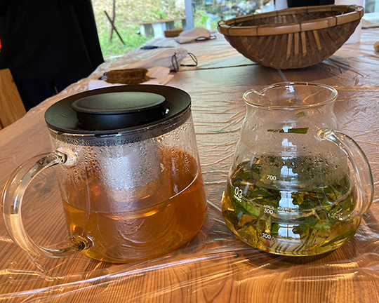 ビワの葉の生茶