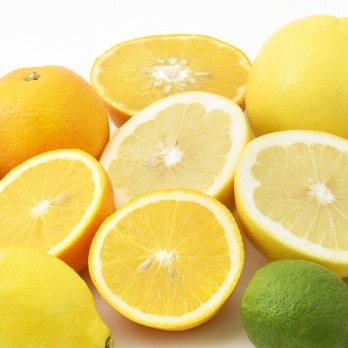柑橘類の画像